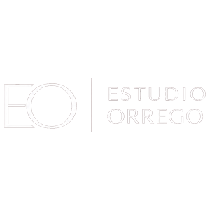 logo300